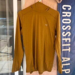 Arc'teryx Ionia merino wool hoody